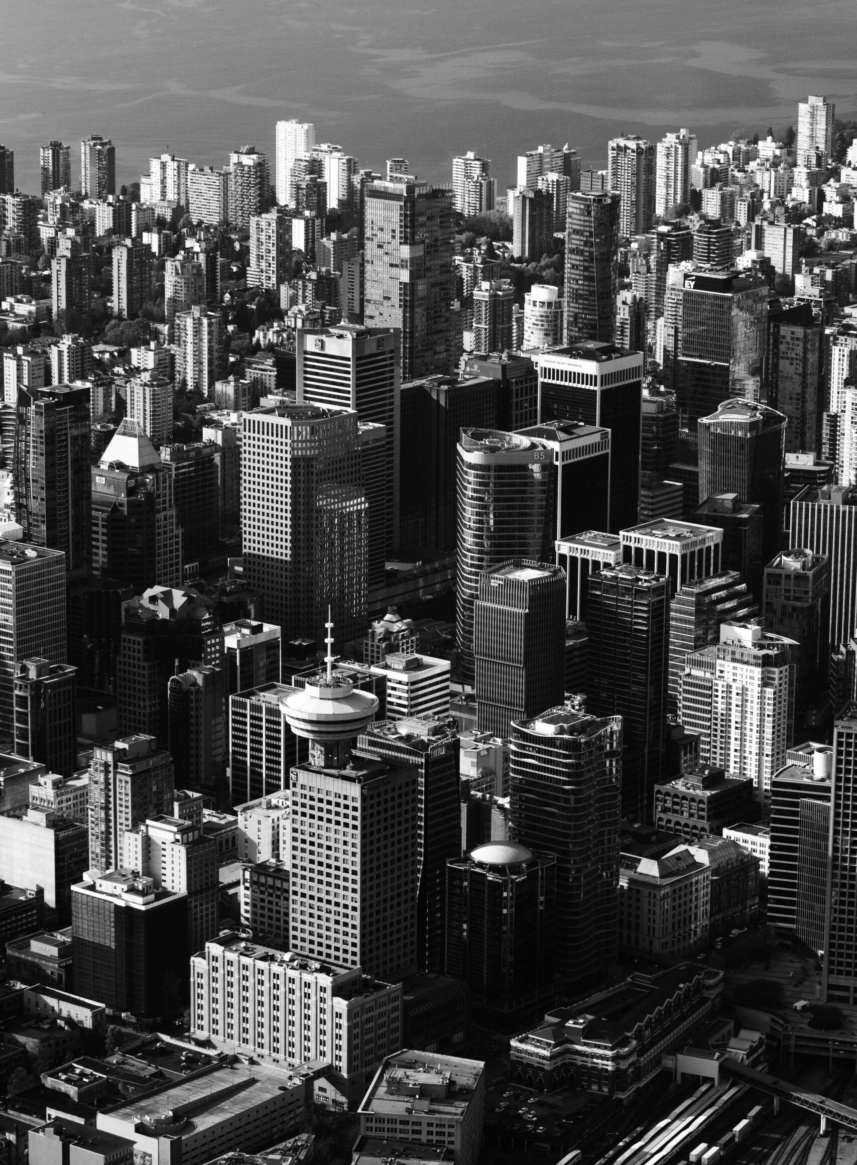 Real Estate Consulting